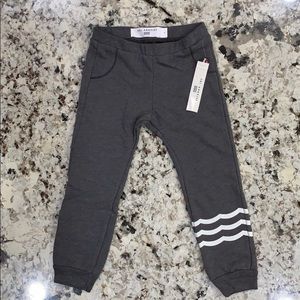 SOL ANGELES Toddler Essential Jogger - INDIGO